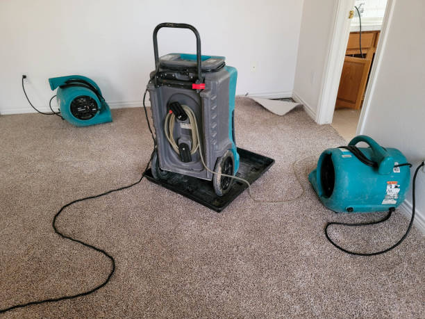 Best Flood damage cleanup  in Coord, NC