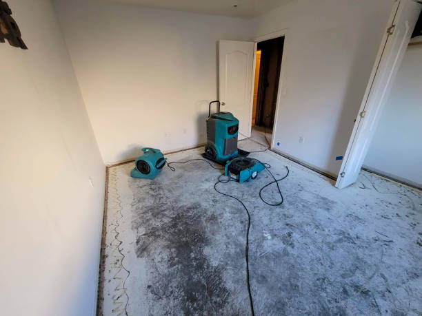 Best Ceiling water damage repair  in Coord, NC